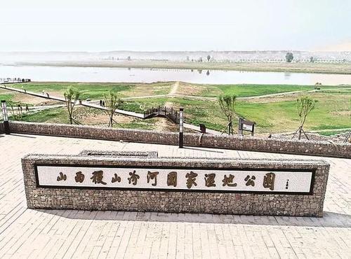 稷山汾河国家湿地公园:水清岸绿鸟翩跹 风景这边独好