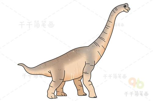 腕龙简笔画图片教程