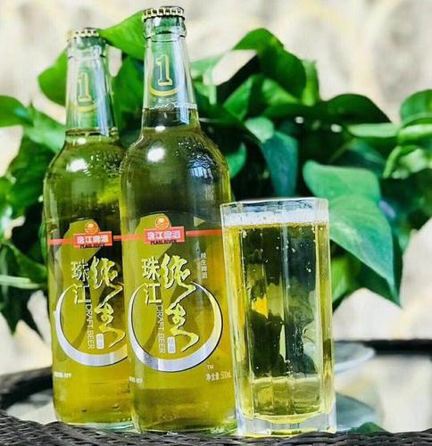 珠江纯生啤酒 500ml*12瓶