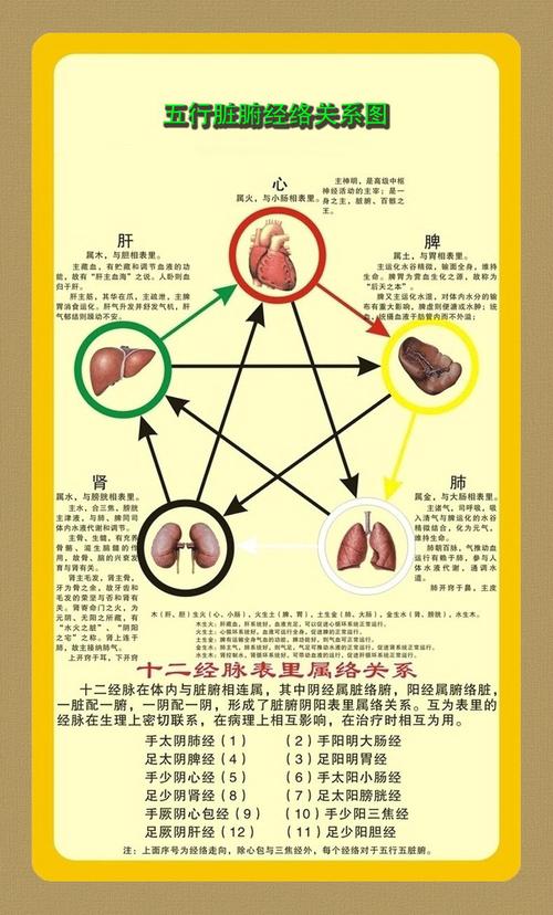 【中医知识】《五行脏腑经络关系图》和《高清穴位图》