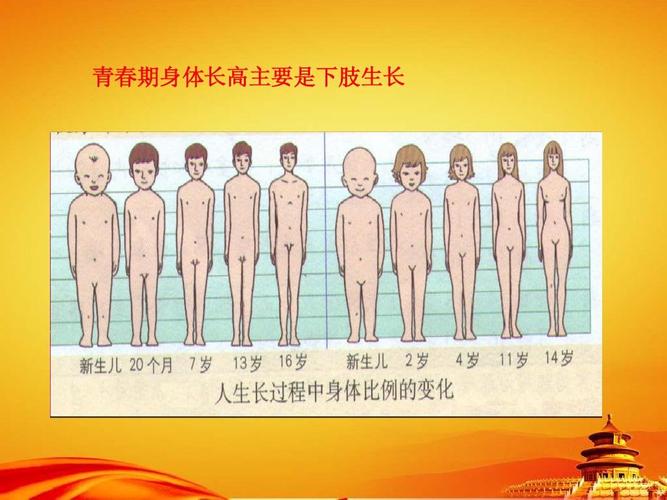 3《青春期》课件ppt