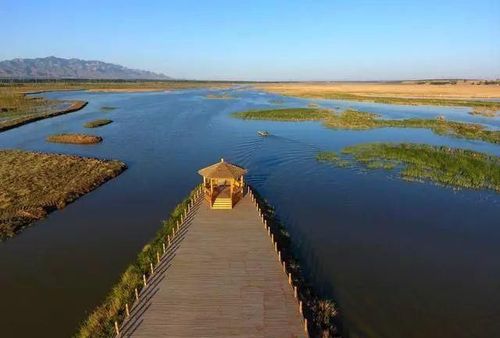 主要湿地面积分布在山阴县桑干河省级湿地公园范围内
