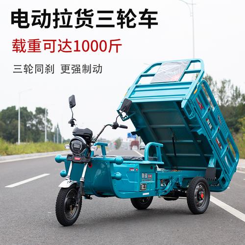 成都电动三轮车拉货载重王 72v大功率长跑王家用快递带棚货三轮车