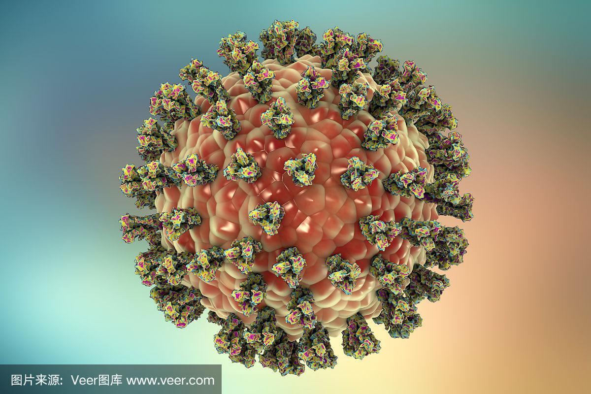 副流感病毒病毒插图