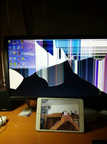 戴尔e2214hv显示屏内屏坏了维修要多少钱啊?