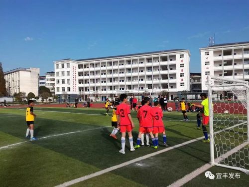 阳实验学校高安市八景镇中心小学阁山初级中学樟树市临江小学樟树市药