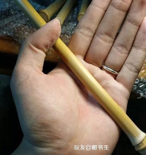 花100块钱,做一条手串,我是馋了～|文玩|玉竹|竹子
