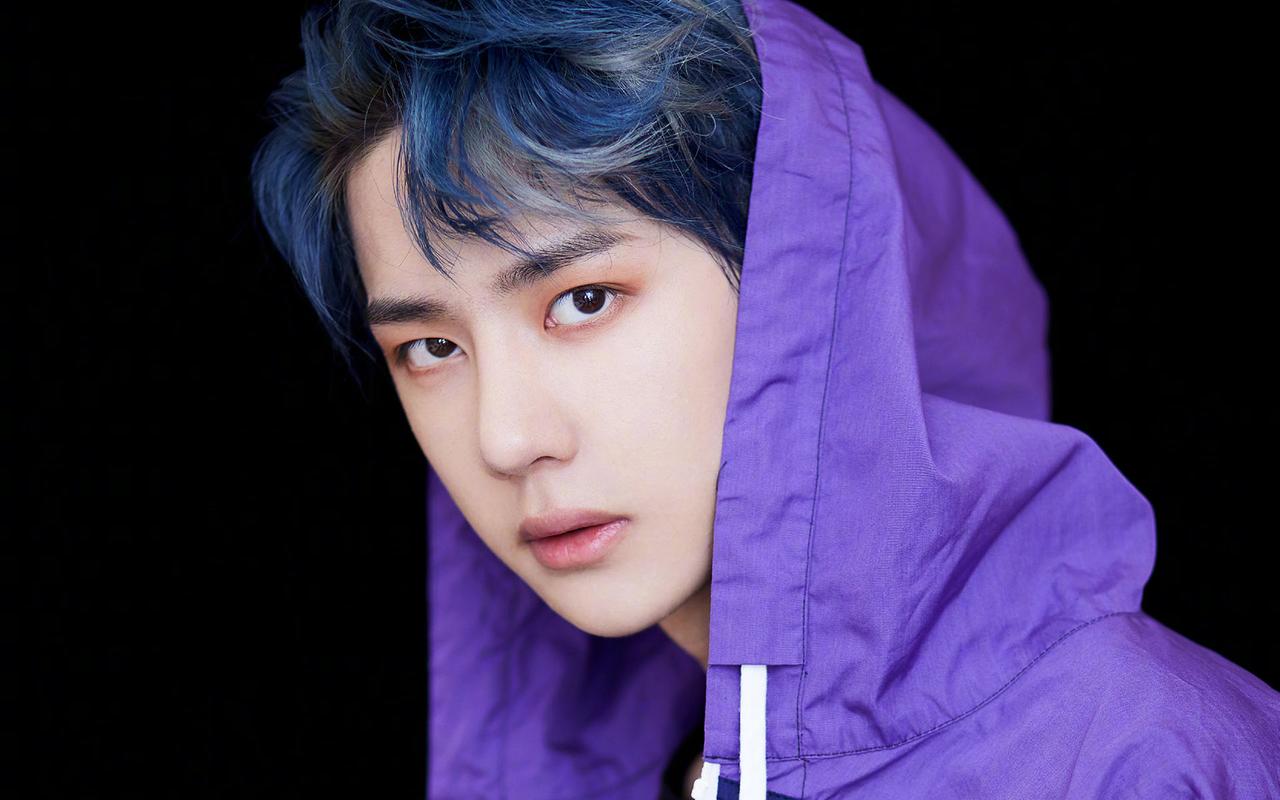 王一博紫色帽衫运动上衣纯黑色背景高清写真壁纸