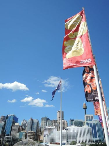 与悉尼史上最严重丛林火灾擦身而过