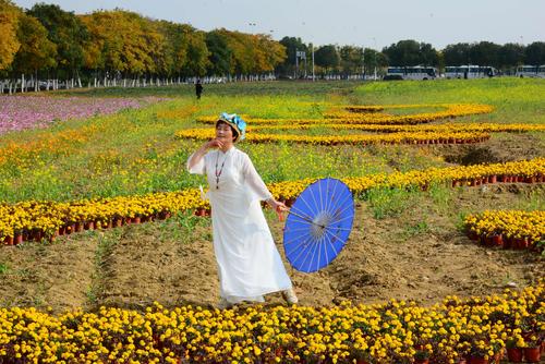 无锡宛山荡湿地公园