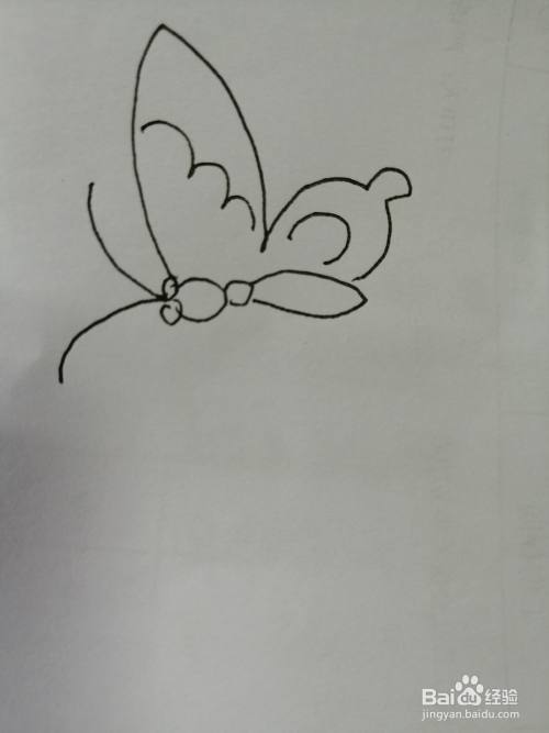 漂亮的小蝴蝶怎么画