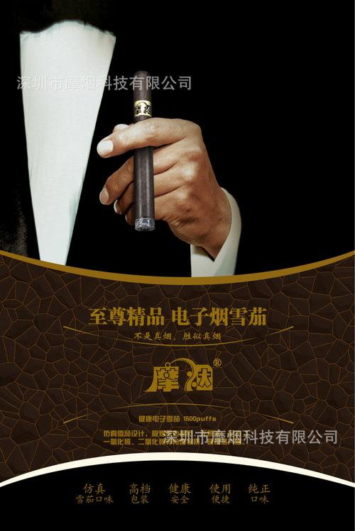 雪茄礼盒电子烟戒烟产品国家专利电子戒烟正品套装超大雾烟可充电