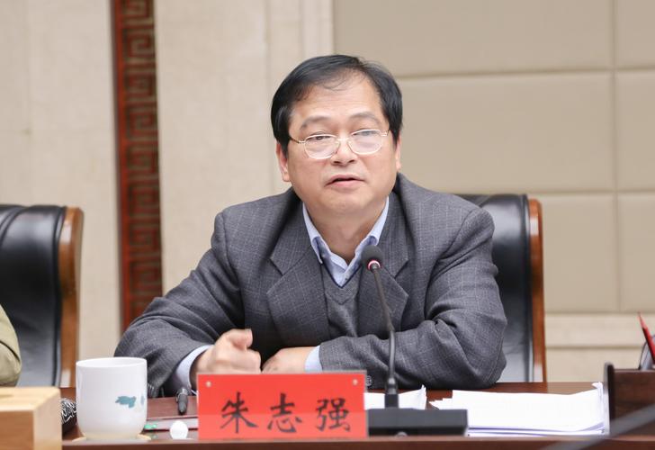 市委组织部副部长朱志强参加会议并讲话