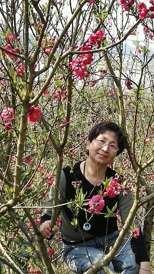 初春二月,衡阳金甲岭的梅花开了!