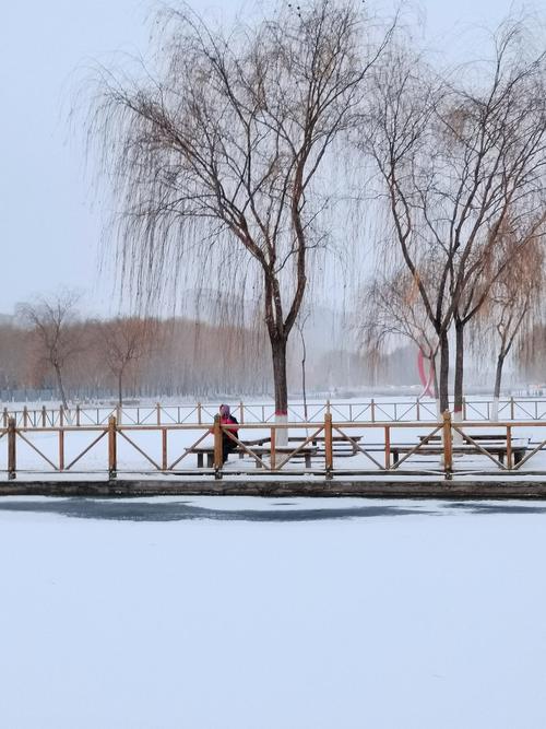 瑞雪兆丰年,醉美雪景图!