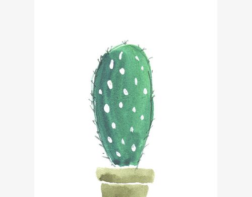 仙人掌绿植盆栽 画风上传