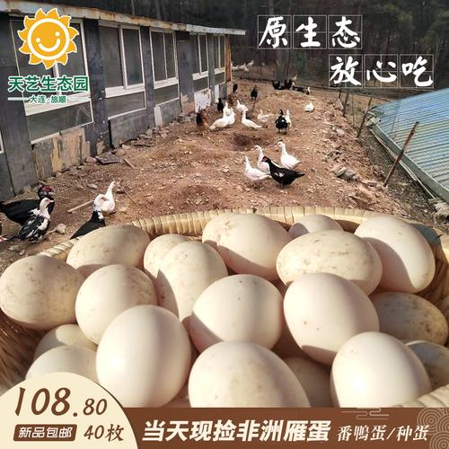 农家散养非洲雁蛋番鸭蛋种蛋大雁蛋40枚新鲜孕妇营养蛋全国包邮