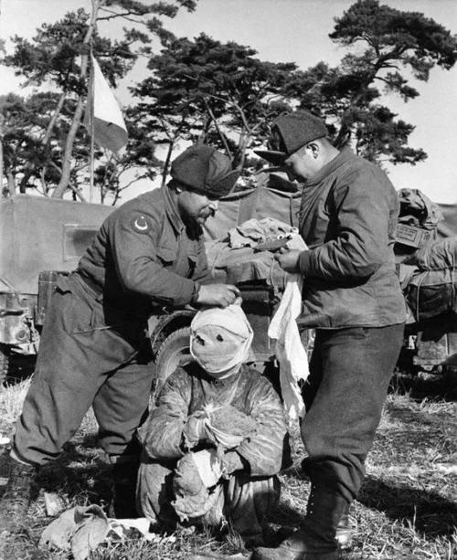 1951年,"联合国军"中的土耳其军医在包扎伤员.