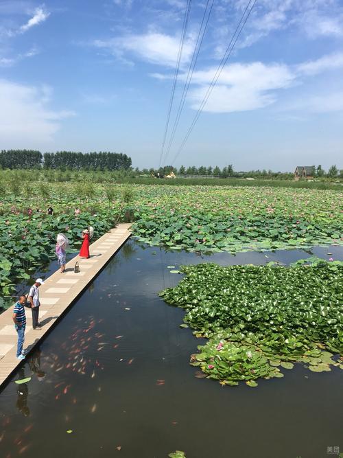辽宁辽阳柳壕湿地公园评论