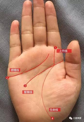 手相揭秘——生命线短就一定会短命吗?