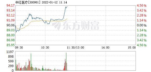 中红医疗1月12日快速上涨