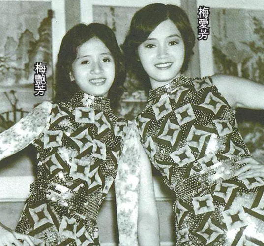 梅艳芳连内衣都被拍卖 唏嘘后是梅妈11年争遗产