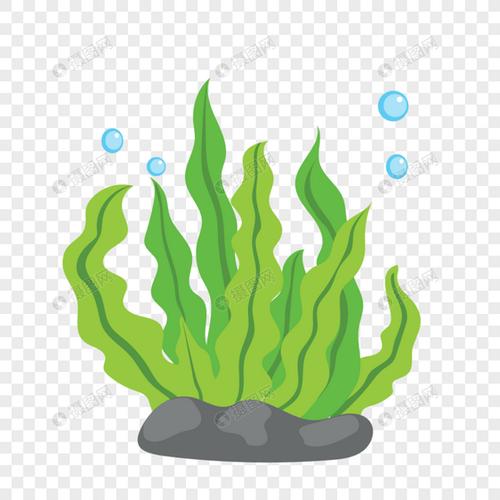 海草珊瑚