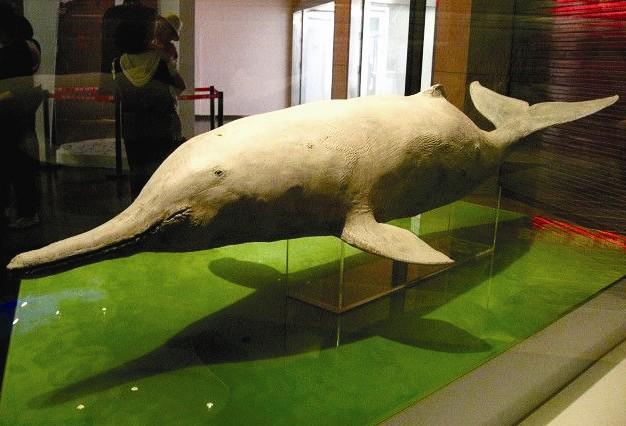 图文当2500万年时光将成往事