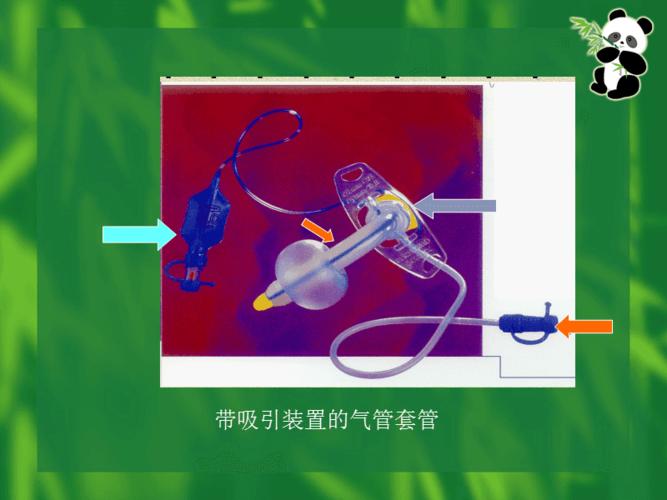气管插管气囊管理.ppt