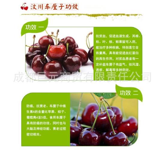 【预售】车厘子 汶川产特级鲜果 品质保证尝鲜价 6月初发货 包邮