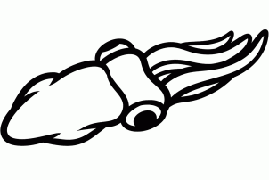 鱿鱼简笔画图片