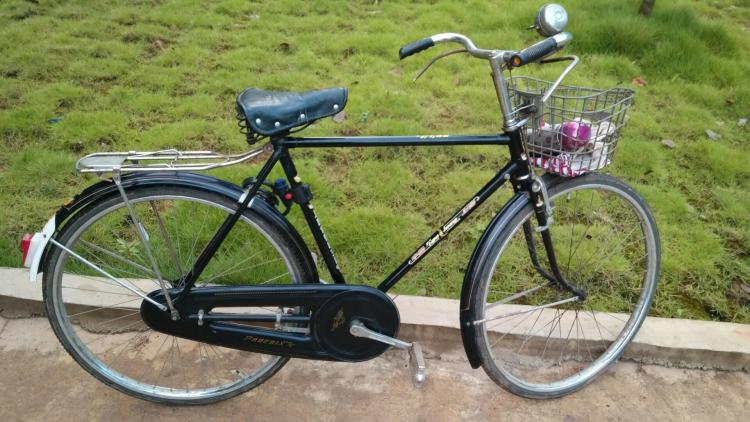 凤凰自行车的发展历程有哪些相关的资料介绍