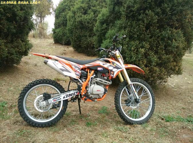 99新 波速尔猎豹250越野