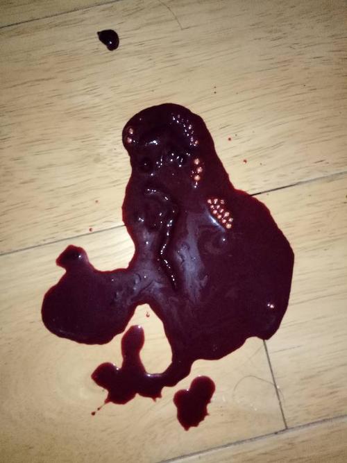 吉娃娃得了细小,拉血,血中有类似于虫软的东西,这是虫