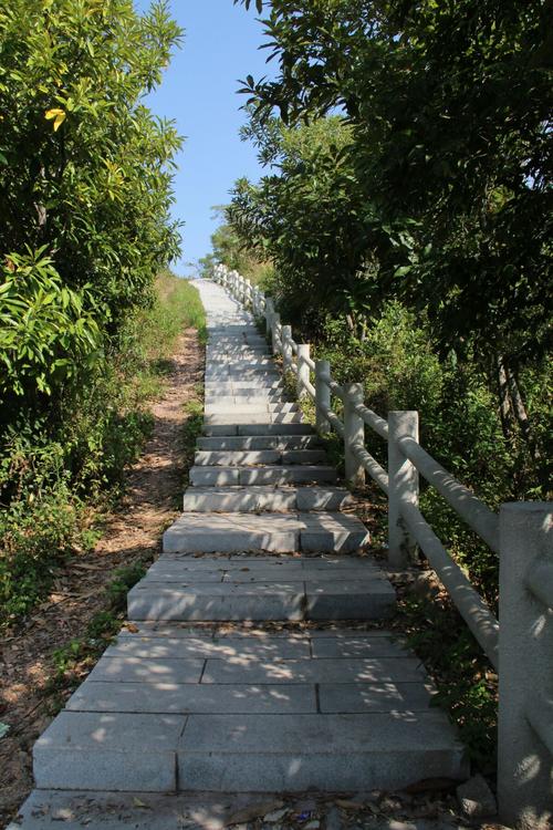 美丽的廉江塘山岭生态公园 2016.12.17