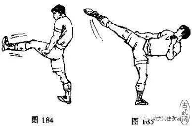 散打组合腿法鞭腿侧踹和踢腿图文教学