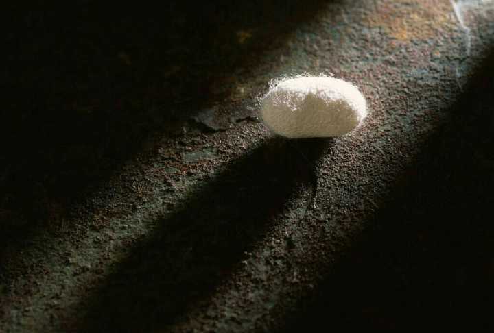 毛毛虫结茧的时候会不会吐丝?