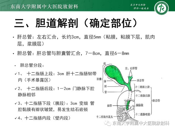 晨读结果公布20210207消化系统疾病胆囊癌