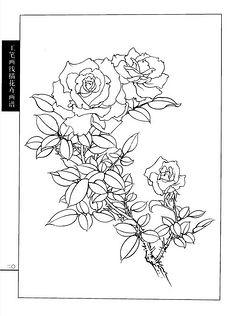 工笔画线描花卉画谱