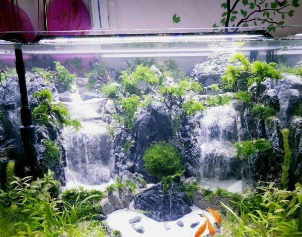 双动力流沙瀑布