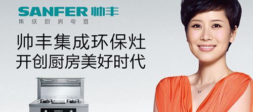 帅丰集成环保灶加盟