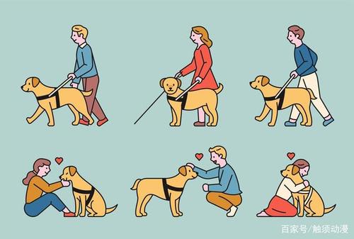 在现实生活中也给人们带来许多好处,防疫期间,居家办公,与宠物小狗