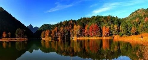 野餐,贵阳,老爸,爽游君,都溪林场,草地