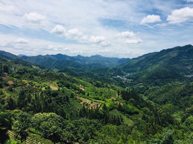 放飞情～安徽歙县坡山风景区