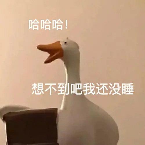 哈哈哈想不到吧我还没睡想不到哈哈哈表情