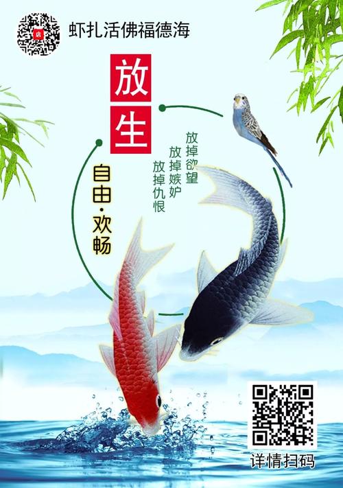 佛家】为你所怀疑的来世做一个准备——桑·达玛岭365天天天放生邀您