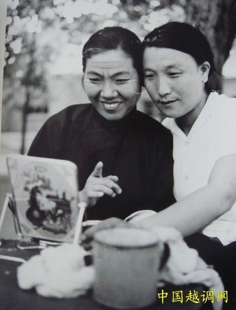 河南越调大师申凤梅的表演艺术