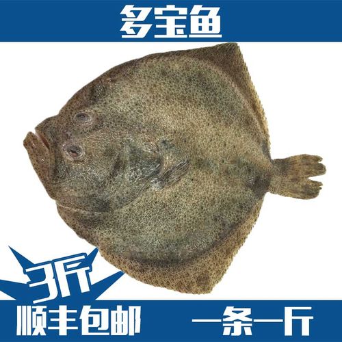 大多宝鱼新鲜鲜活大菱鲆海鱼鲽鱼比目鱼海鲜水产一条一斤500g
