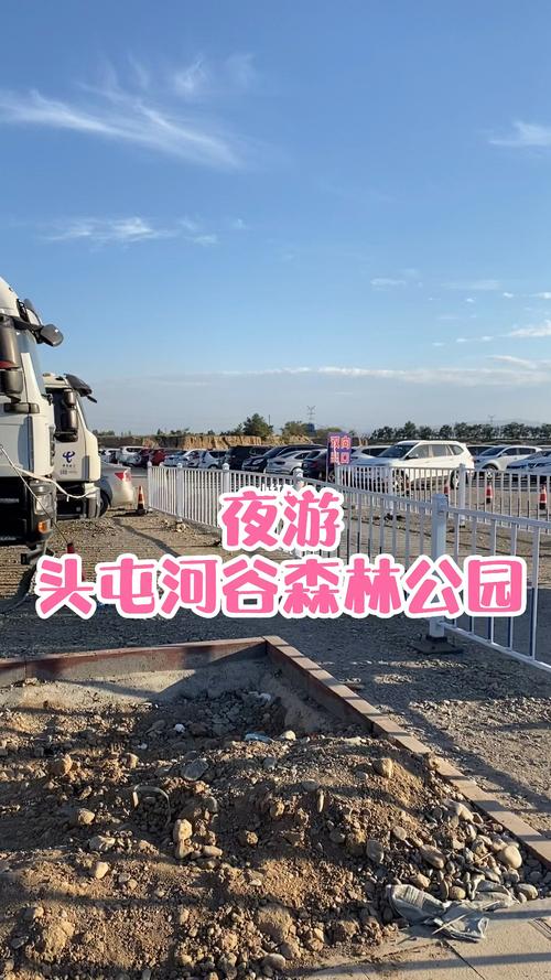 头屯河公园_音乐_头屯河谷森林公园_夜游_音乐喷泉灯光秀_景点_森林
