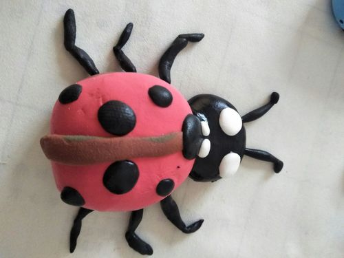 第十六课时,昆虫(七星瓢虫)